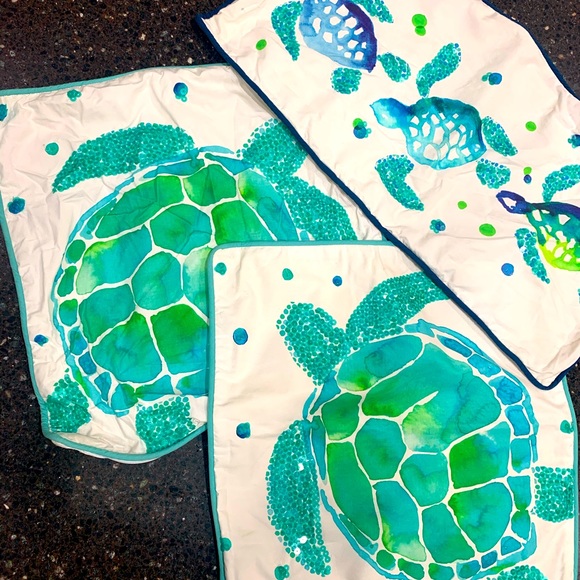 Pottery Barn Teen pillow covers / sham - Picture 1 of 8